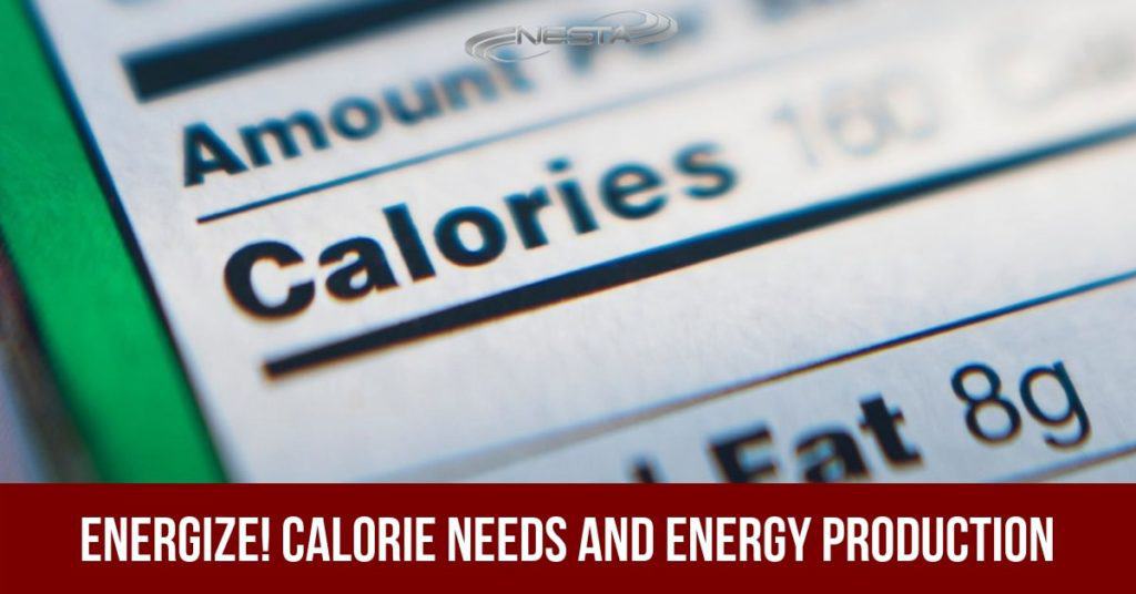 Energize! Calorie Needs and Energy Production