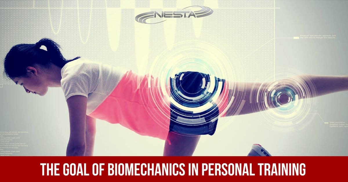 The Goal of Biomechanics in Personal Training