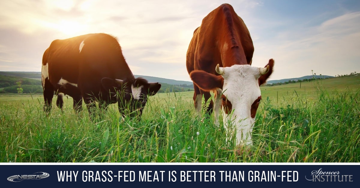 Does grass fed beef taste better?