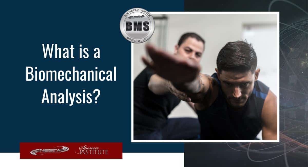 how to perform a biomechanical analysis