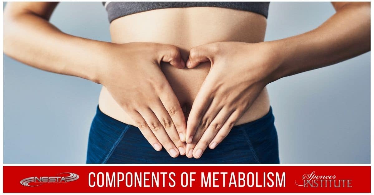 what-effects-your-metabolism