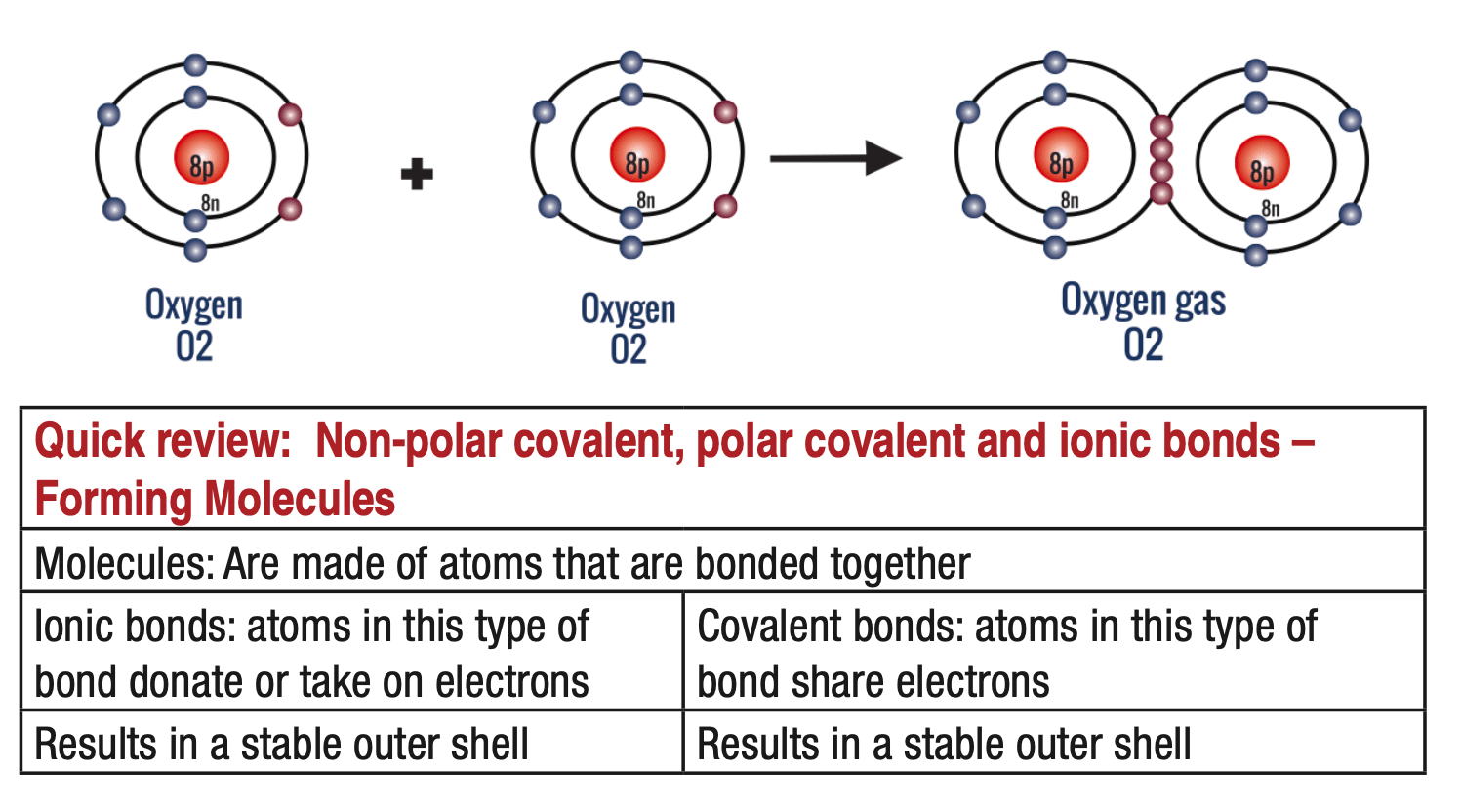 covalent-bonds-review