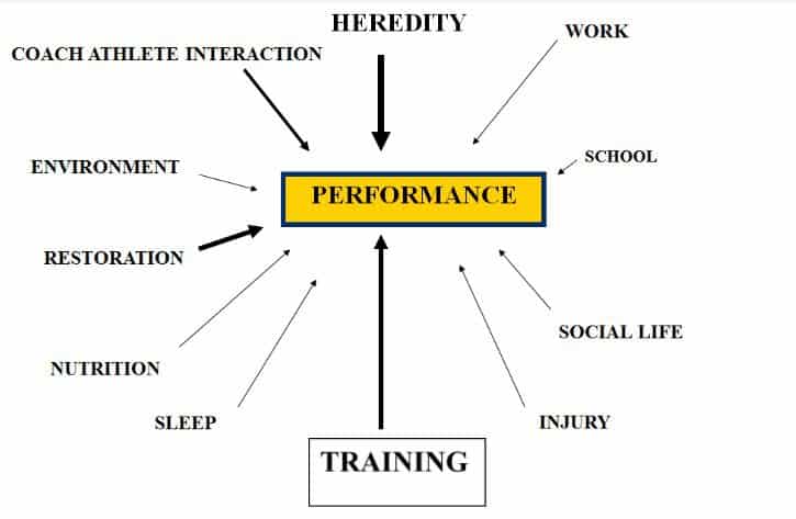 heredity and training affect sports and fitness performance