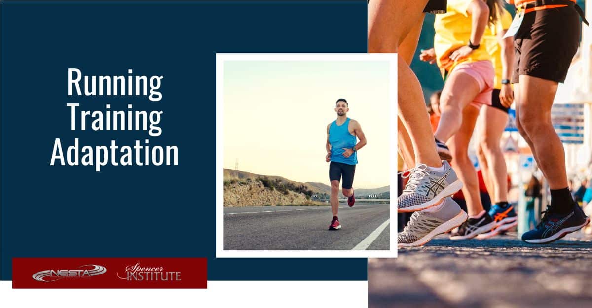 running-training-adaptation