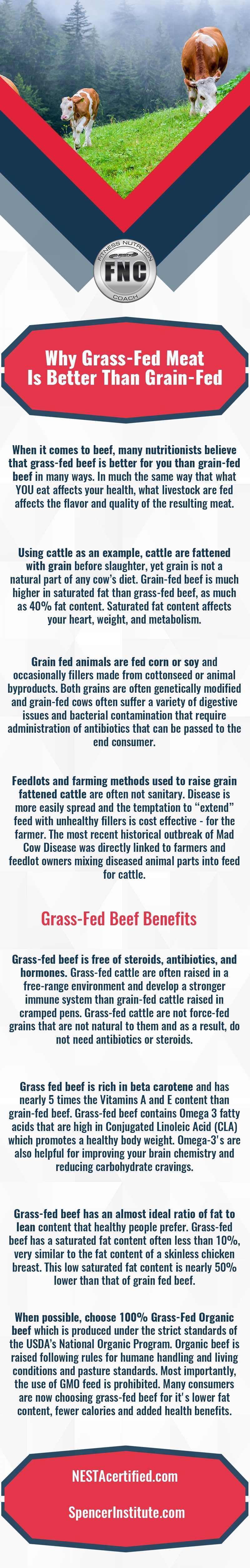 grain fed beef facts