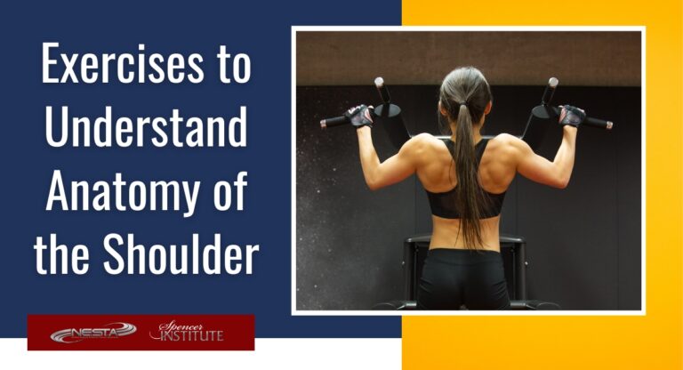 exercises-to-understand-shoulder-anatomy-and-movement