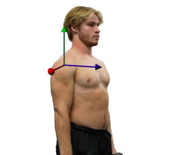 transverse-axis-shoulder