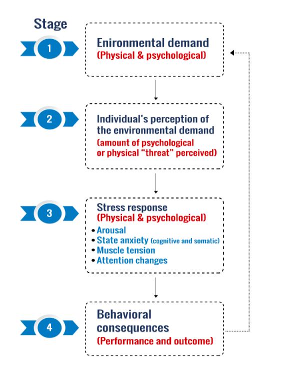 chart showing the stages of stress process in sports training and competition